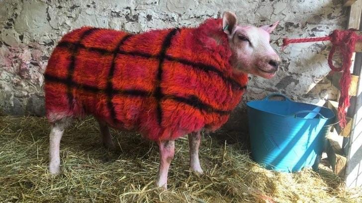 25 снимков, которые надо увидеть хотя бы раз в жизни природа