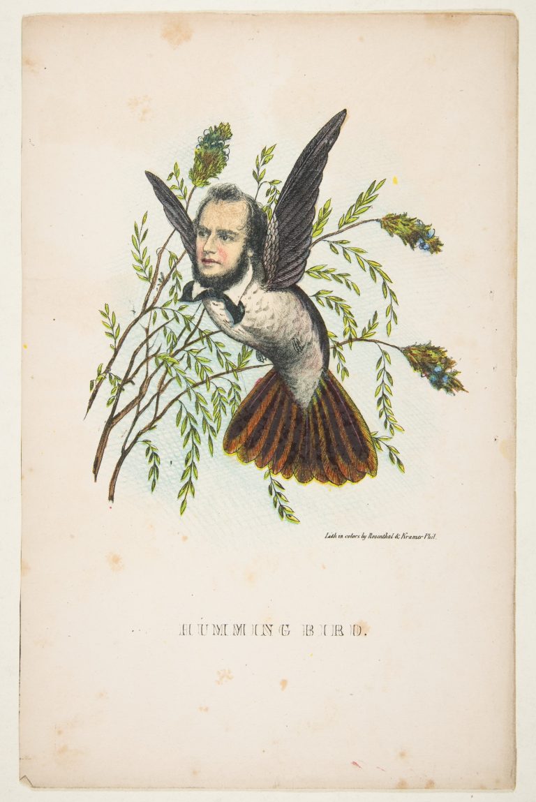 natural-history-of-the-human-race-humming-bird-768x1149.jpg natural-history-of-the-human-race-humming-bird-768x1149.jpg