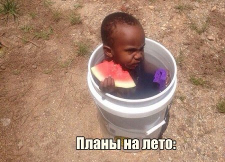 Прикольная фотоподборка (55 фото)