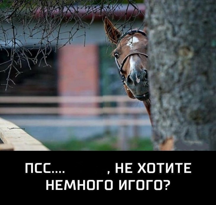 Немного мемов и смешных картинок 