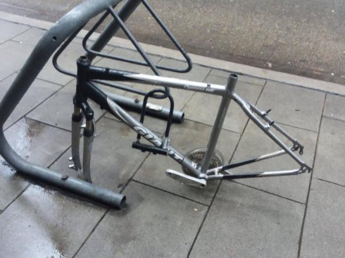 Что такое не везет, фотографии из нашей жизни Что такое не везет, фотографии из нашей жизни