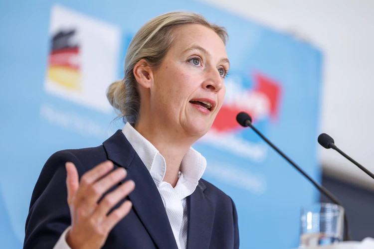 Председатель партии «Альтернатива для Германии» Алис Вайдель.