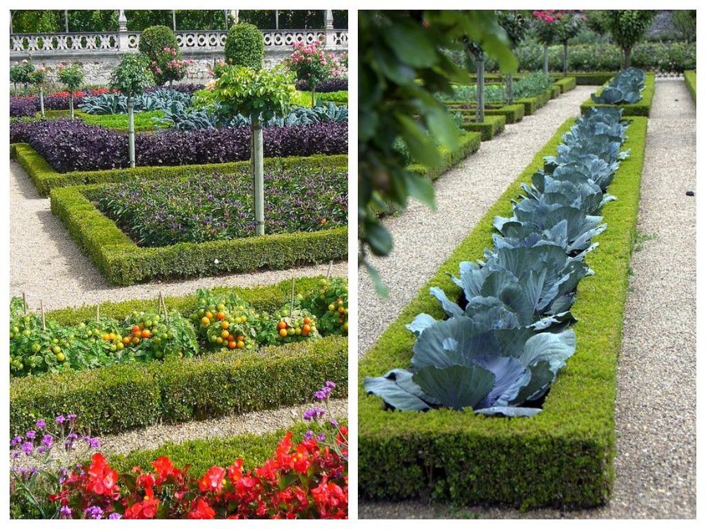 Красивые грядки, красивый огород: идеи для ценителей прекрасного дача,декоративный огород,сад и огород