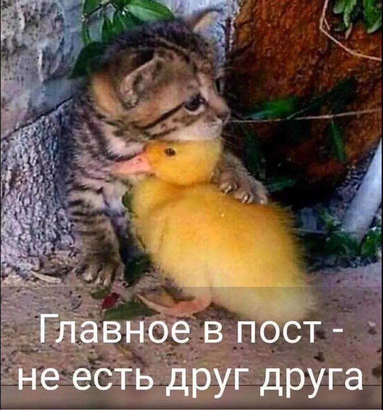 - Вы не думаете, что в кино сейчас слишком много секса и насилия?... тогда, человек, которые, вернется, спрашивает, млнбаранов, налево, нужно, Конечно, фирме, работаете, более, просили, прибавке, зарплаты, темные, проворачиваетеПросьба, делишки, здесь, бухгалтеру