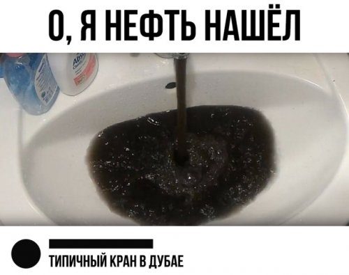 Весёлые картинки и фото дня Весёлые картинки и фото дня