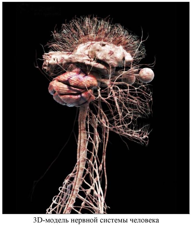 Вы видели всё в жизни? 