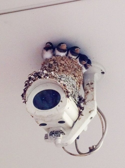 Свежие прикольные картинки Свежие прикольные картинки