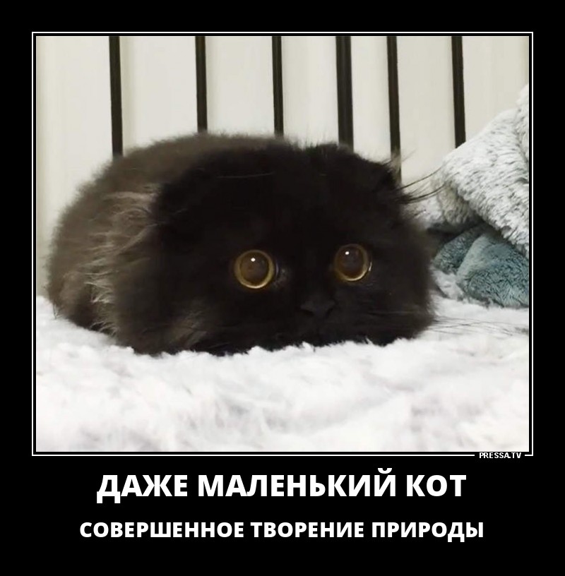 Забавные веселые демотиваторы Забавные веселые демотиваторы