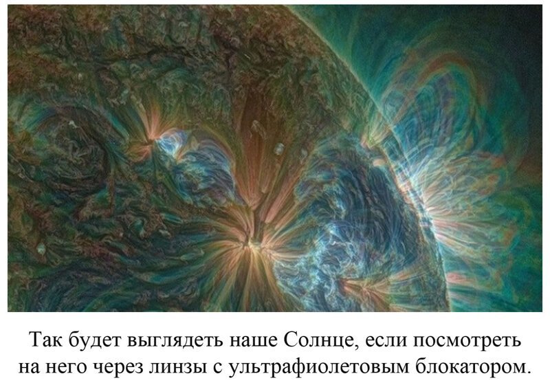 Вы видели всё в жизни? 