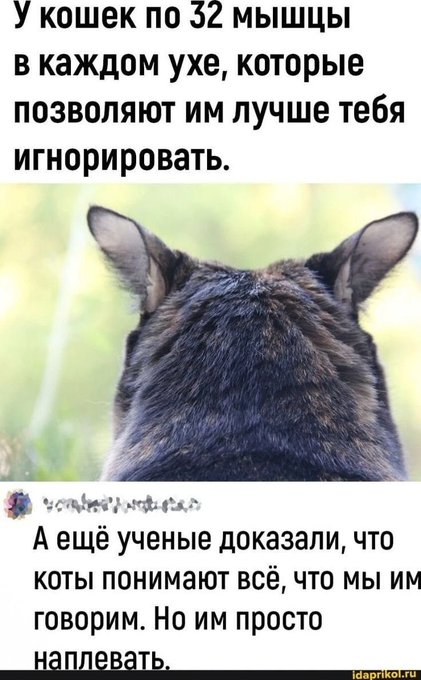 Хватит уже воспринимать соцсети всерьёз - большинство лайков вам ставят те, кто сидит на унитазе