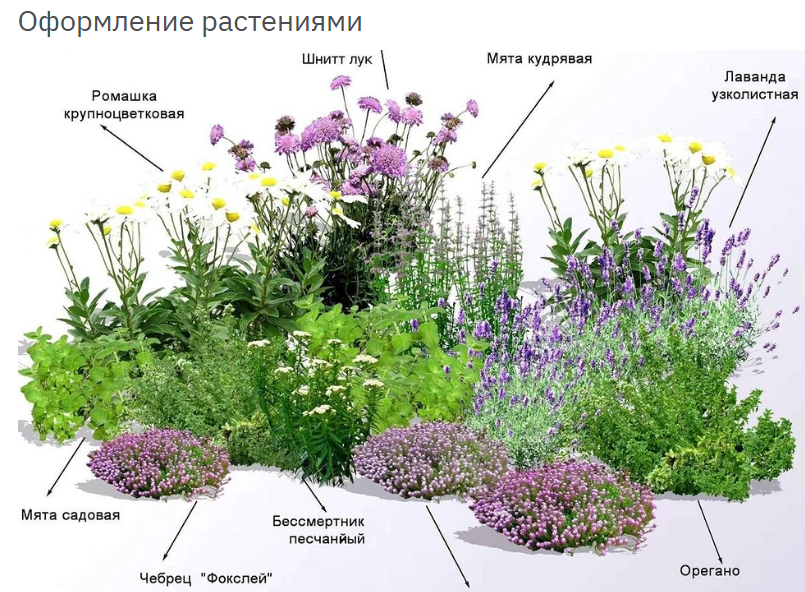 Дизайн клумбы из камней для цветов