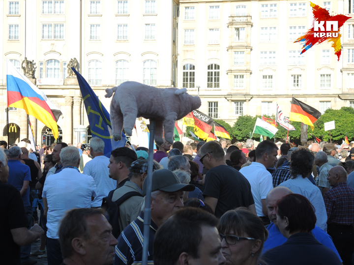 Люди несут на митинг плюшевых свиней как символ протеста против халяльной еды.