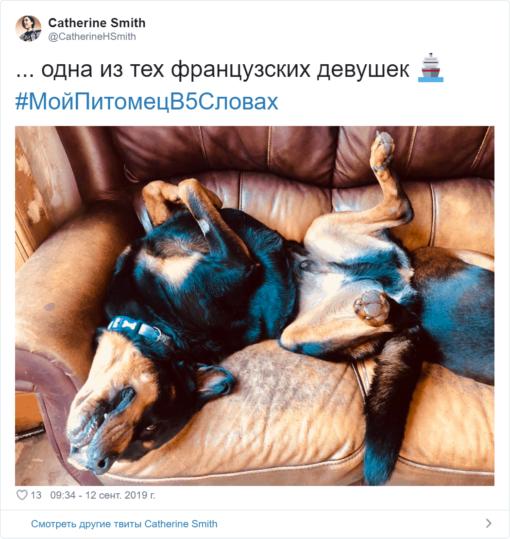 Мой питомец в 5 словах: хозяева участвуют во флешмобе, кратко и с юморком описывая своих любимцев Мой питомец в 5 словах: хозяева участвуют во флешмобе, кратко и с юморком описывая своих любимцев животные,МойПитомецВ5Словах,флешмоб,юмор и курьезы