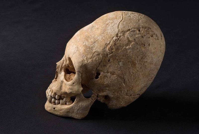Ученые создадут 3D-модели гробниц амазонок с вытянутыми черепами из Абрау-Дюрсо