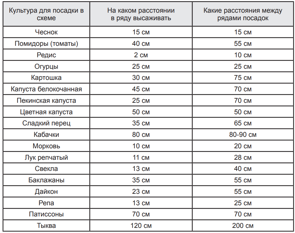 Схема посадки рассады свеклы