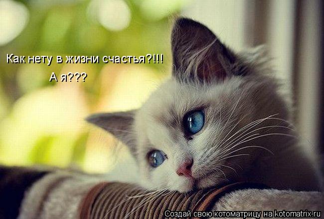 Котоматрица: Как нету в жизни счастья?!!! А я???