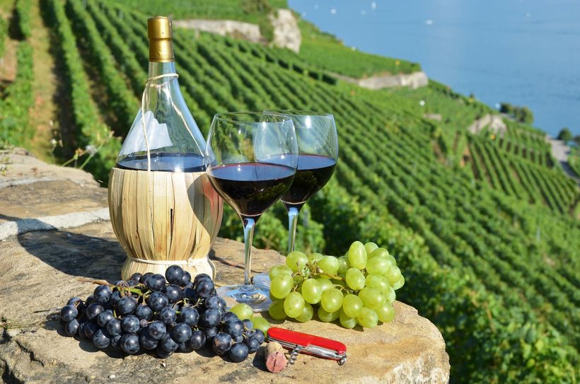Вино и любовь: 9 самых забавных причин, из-за которых итальянцы нарушали карантин Европа,Путешествия,фото