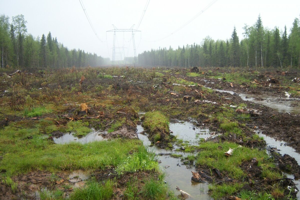 Фото с http://imo.ru.net/foto-mertvaya-derevnya-rastess-v-sverdlovskoj-oblasti.html