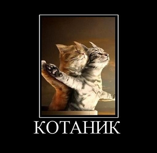 Демотиваторы – приколы: «Я же говорил…» Демотиваторы – приколы: «Я же говорил…»