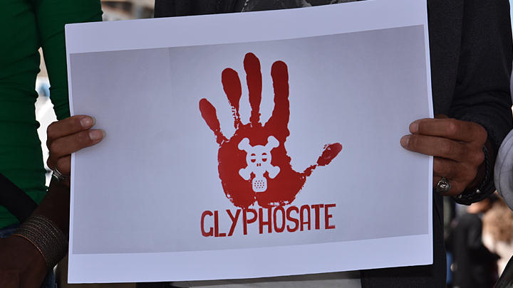 Во что обходится избавление от сорняков: Повторит ли глифосат судьбу ДДТ