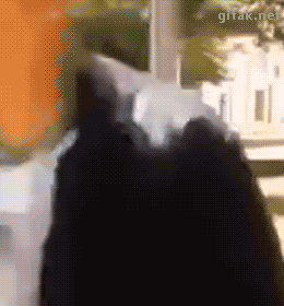 Классные гифки для хорошего вечернего настроения Классные гифки для хорошего вечернего настроения зачетные гифки