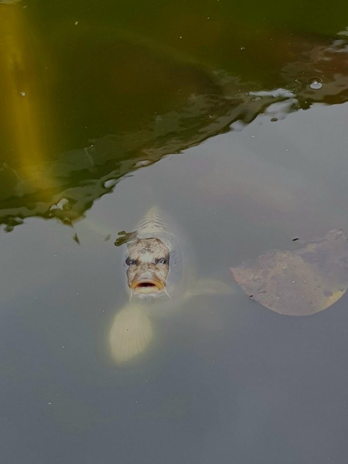 Фотоподборка 