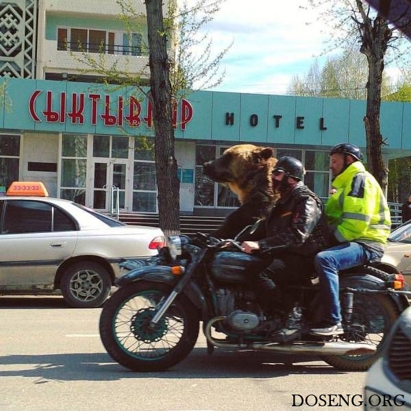 Прикольные картинки