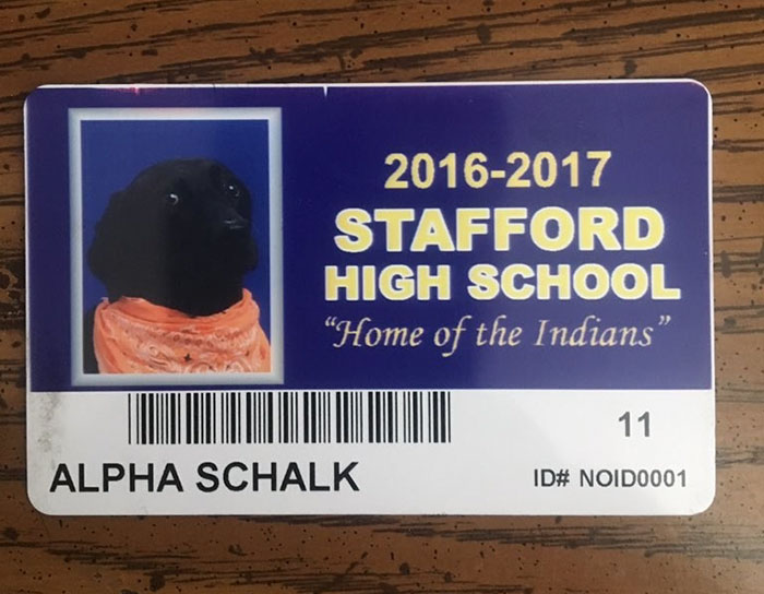 yearbook-dog-photo-aplha-andrew-schalk-9