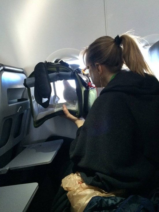 Фотоподборка пятницы Фотоподборка пятницы