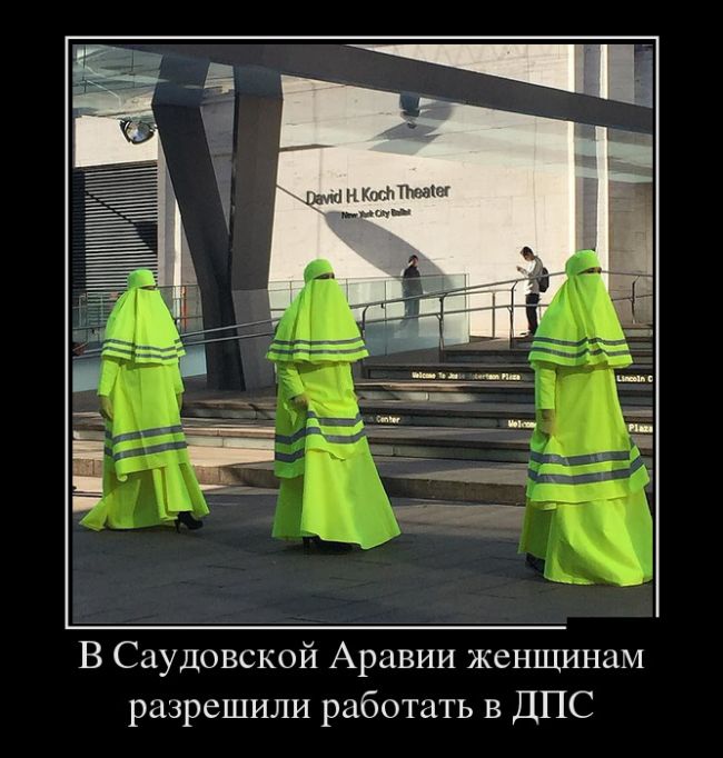 Пятничные веселые демотиваторы (11 фото)