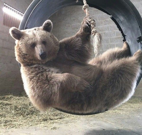 Прикольные картинки картинки из сети, прикол, юмор