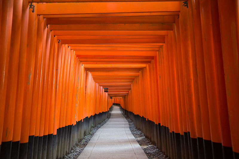 Святилище Фусими Инари, Япония красота, путешествия, фото