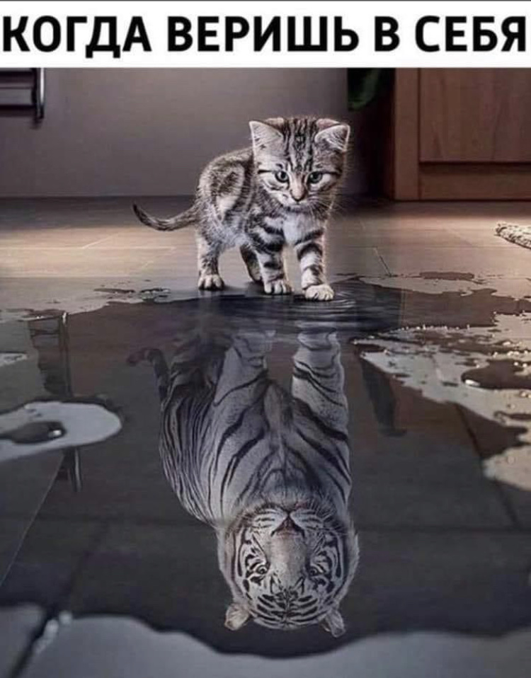 Бывает, встретишь человека. Нормальный, вроде, человек... Весёлые,прикольные и забавные фотки и картинки,А так же анекдоты и приятное общение