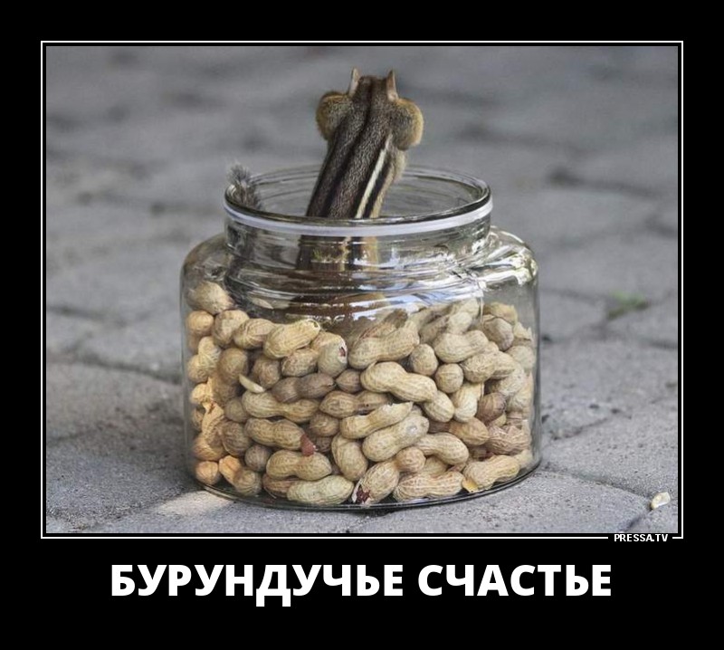 Забавные веселые демотиваторы Забавные веселые демотиваторы