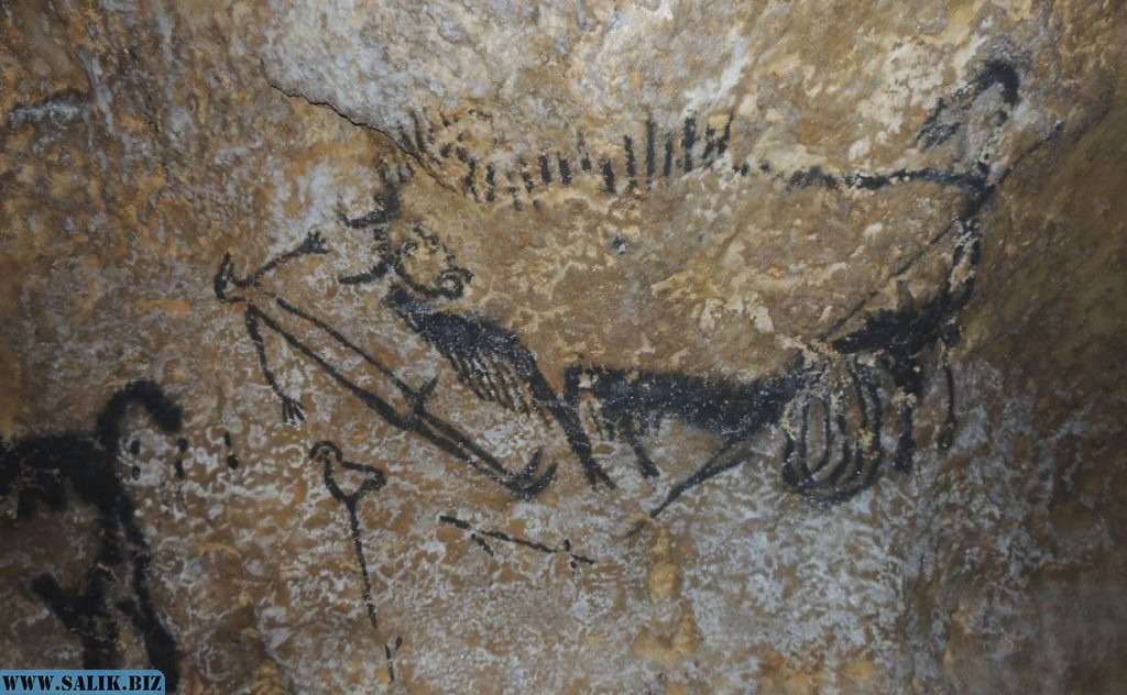 Ученые обнаружили звездные карты 40 000-летней давности, содержащие "сложные знания о созвездиях"