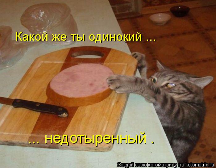 Котоматрица: Какой же ты одинокий ... ... недотыренный .