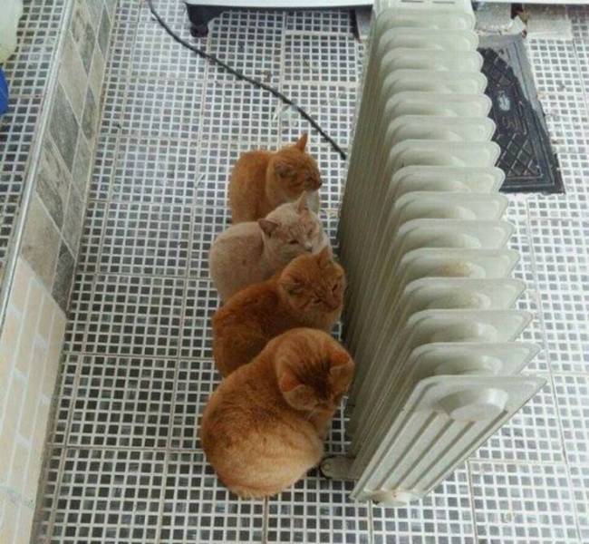 Не знаю, как у нас рассчитывали прожиточный минимум..