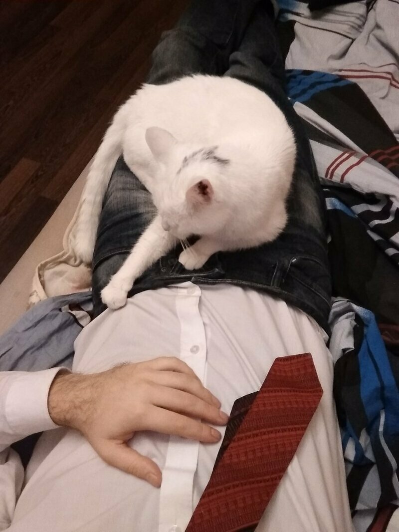 Они всегда готовы показать, кто в доме хозяин только, Многие, делать, место, потерплю, всяких, мелкихИСТОЧНИК PBSTWIMGCOM И, подумайте, голодаютИСТОЧНИК EXTERNALPREVIEWREDDIT ИСТОЧНИК PBSTWIMGCOM ИСТОЧНИК PBSTWIMGCOM Да, работе, полежи, совершенно, отдохниИСТОЧНИК PBSTWIMGCOM А, разве, меняИСТОЧНИК PBSTWIMGCOM Зато, шумоизоляция, отличная Осознал, больше, мусоре, роюсьИСТОЧНИК PBSTWIMGCOM Обожаю