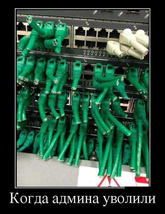 Порция демотиваторов на любой вкус 