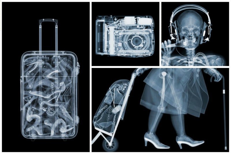 Внутри бокса расположено несколько рентген-аппаратов и собственно съемочное оборудование управляемое дистанционно внутри, интересное, искусство, рентген, скелет, снимки