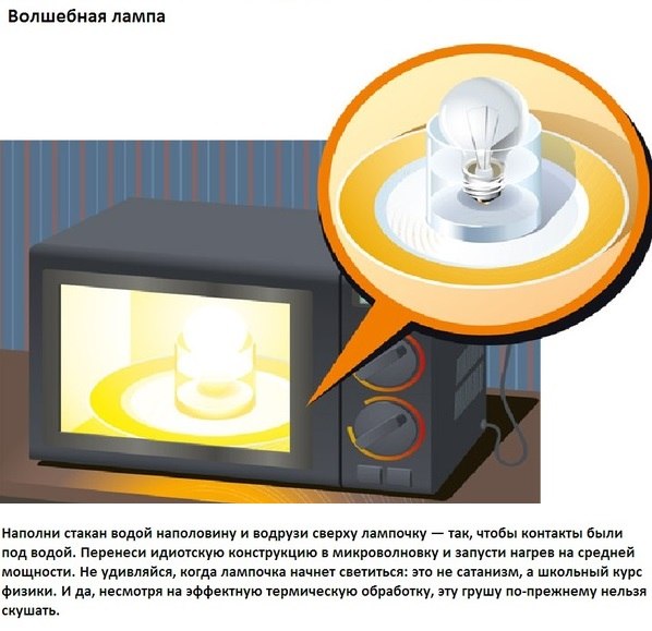 Фокусы с микроволновкой 3