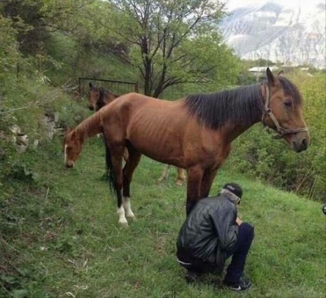 Фотографии, на которые придется взглянуть дважды