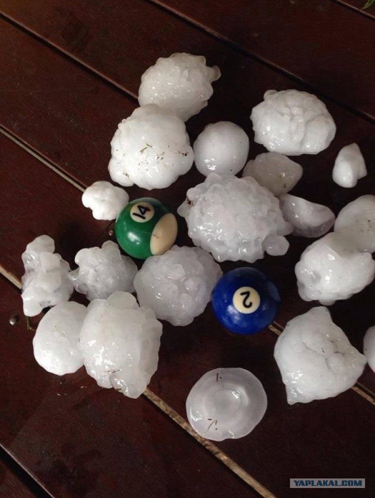 В Австралию ни ногой! В Австралию ни ногой! поездка,страны,туризм,турист