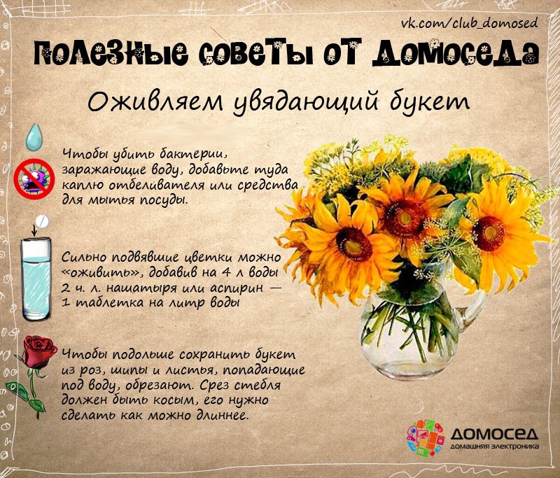 выделяю полезные советы про цветы с картинками льется