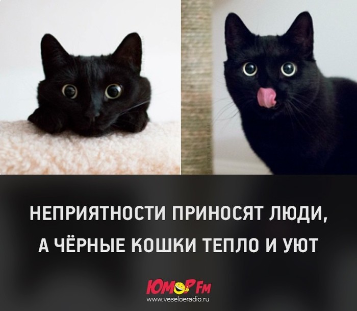 Собрался на рыбалку. Не смог найти сигареты. Взял сигареты сына. Через час поймал трех дельфинов, двух акул и одно лохнесское чудовище веселые картинки