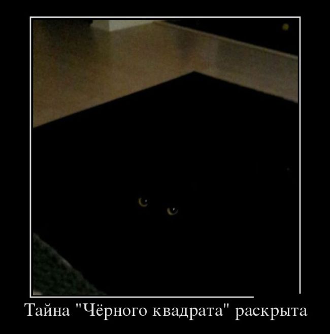 Порция демотиваторов на любой вкус 