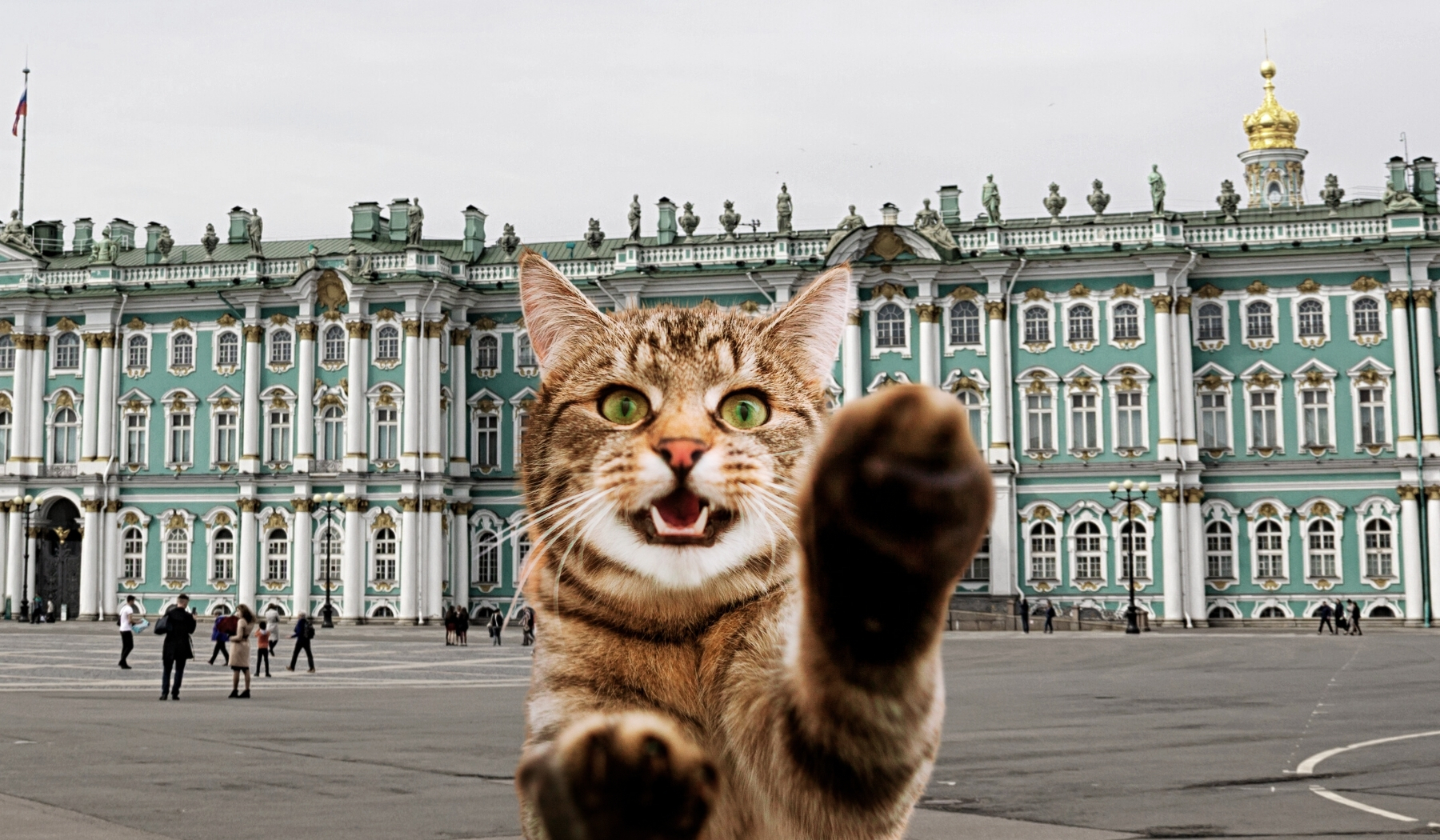 День Эрмитажного кота в Санкт-Петербурге