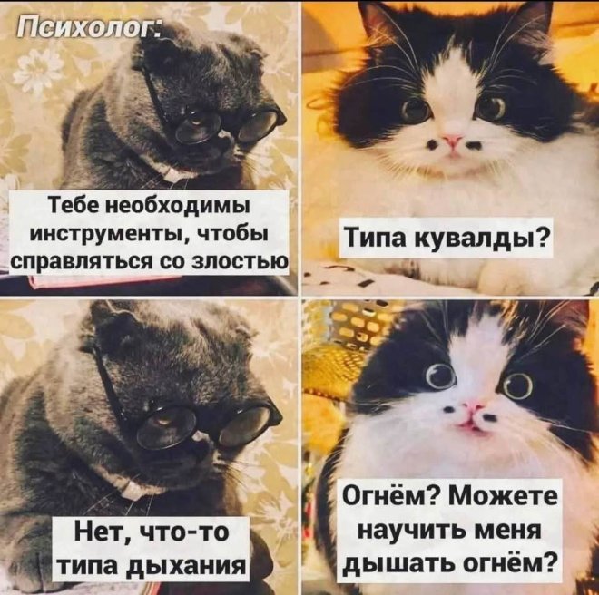 Прикольные картинки с надписями и iPhone 17 Прикольные картинки с надписями и iPhone 17