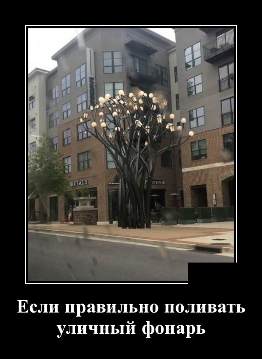 Демотиваторы субботы 18 мая Демотиваторы субботы 18 мая