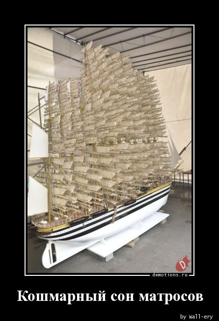 Демотиваторы – приколы: «Я же говорил…» Демотиваторы – приколы: «Я же говорил…»